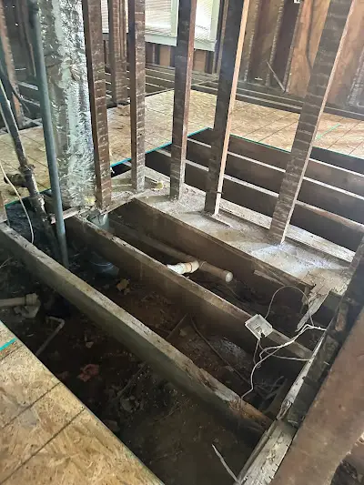 Professional Remodeler